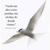 BENEDETTI, POESÍA 🇪🇨 1 18