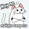 Flork michi gato pal'chat 🧦🐱 11