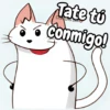 Flork michi gato pal'chat 🧦🐱 12