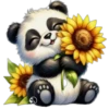 Pandas Kawaii❥☯︎ͫ1🇲🇽Clásica 24
