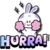 Lovely rabbit 🐇🥕 14