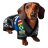 Dog(gi) 14