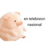 Perdonenmen a todos no acepto🐖 17