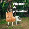 🌴 DtMF frases 🪑 Bad Bunny 🐰 12