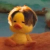 Duck or not 23