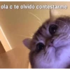No me dejes en visto 11