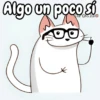 Flork michi gato pal'chat 🧦🐱 13
