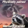Physically pained @nocturnaltrashposts Mentally drained
