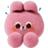 🥕 RaBbIt DaIlY EmOjI 🥕 20