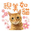 院