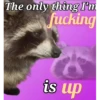 The only thing I'm fucking @raccoon motivati is up