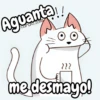 Flork michi gato pal'chat 🧦🐱 14