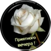 Добрый вечер №1 13