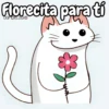 Flork michi gato pal'chat 🧦🐱 15