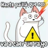 Flork michi gato pal'chat 🧦🐱 17