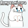Flork michi gato pal'chat 🧦🐱 18