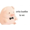 Perdonenmen a todos no acepto🐖 22