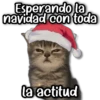Memes Navideños #1 🎁 11