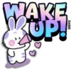 Lovely rabbit 🐇🥕 21