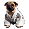 Dog(gi) 16
