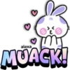 Lovely rabbit 🐇🥕 22