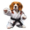 Dog(gi) 17
