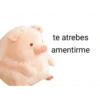Perdonenmen a todos no acepto🐖 25