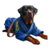 Dog(gi) 18