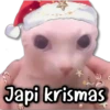 Memes Navideños #1 🎁 14