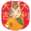 大利 大吉
