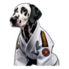 Dog(gi) 19