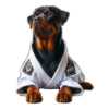 Dog(gi) 20