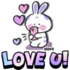 Lovely rabbit 🐇🥕 24