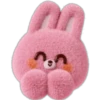 🥕 RaBbIt DaIlY EmOjI 🥕 29