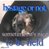 hostage or not, sometimes it's nice to be held @69possums420