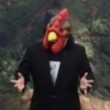 Duck or not 28