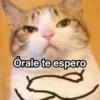 No me dejes en visto 16