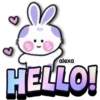 Lovely rabbit 🐇🥕 25