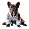 Dog(gi) 21