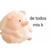 Perdonenmen a todos no acepto🐖 28