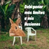 🌴 DtMF frases 🪑 Bad Bunny 🐰 19