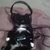 3🐈Meowcitos 🐱 30