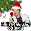 Memes Navideños #1 🎁 17