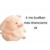 Perdonenmen a todos no acepto🐖 29