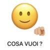 PakoWZP - Smiley più Test 9