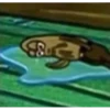 BOB 7