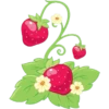 rosita fresita꒰⁠⑅⁠ᵕ⁠༚⁠ᵕ⁠꒱⁠˖🍓 6