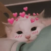 Me enamoré con corazoncitos💕✨ 5
