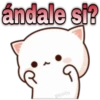 😸Mochi cat Amor❤️ 5