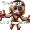 🙉🙊Lunes con Monos🙈🐵 5